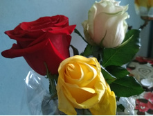 IMG 20181020 104133.jpg