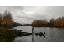 P 20181020 130812.jpg