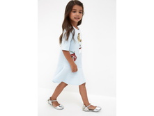 20220200303   Renard   �������.jpg