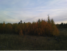 IMG 20181009 170059.jpg