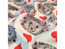 �������- ����� - ������������