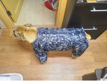 ������ 6.jpg