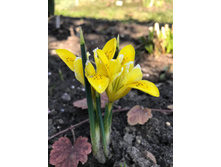 ���� ��������.jpg