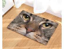 10,8 - 40�60��, 20,0 - 50�80��