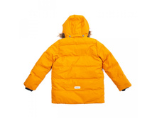 381151 6 w768 h768 13f2ca09 38878 5bc5f966.jpg