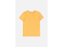 10110110004 ������.jpg