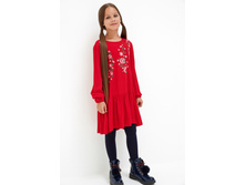 20210200269   Kruse   �������.jpg