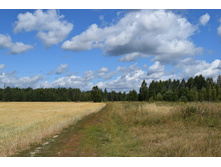 DSC 0622.JPG