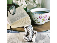 ���� ������