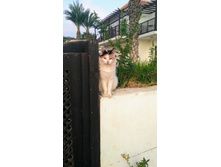 IMG 20181005 063047.jpg