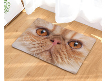 10,8 - 40�60��, 20,0 - 50�80��