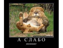 � ����� ���� ��������?