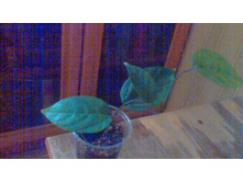 ������������ ����������(���� �����)