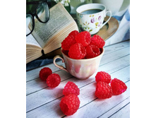 ������ ��������