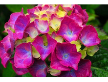 ��������� �������������� (����� ����) ������� (������ �� ����������� �� �����-��������).jpeg