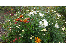 �������� ����������  � ������ �������