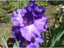 ���� ��������� ���������� ������������.jpg