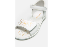 20228100019   Elsa   �����(������).jpg