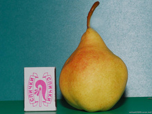 ����� ����� ������