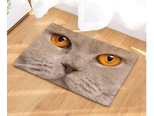 10,8 - 40�60��, 20,0 - 50�80��