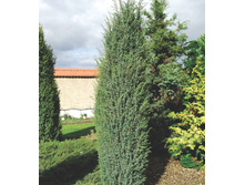 ������������ ������������ ������������ 3�� 180�.jpg