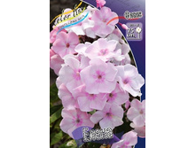 ����� ����� (87,70)