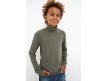 20110100154   Drozd   ����.jpg