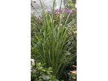 ����������, ��� ��������� �����