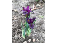 ���� ���������� ������� (2).jpg