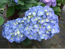 ��������� �������������� ���� (�����-�����).jpg