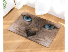 10,8 - 40�60��, 20,0 - 50�80��