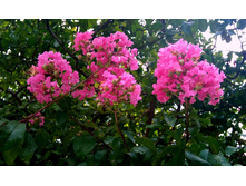 ������������ ��� ��������� ������- ������ �������� ..