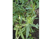 IMG 20181019 090320.jpg