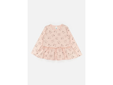 20250100006   Abrikos   ����������.jpg