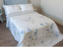 ���������� ����� �� ������� Florian