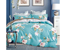 ����� ���� ���. TK-381.jpg