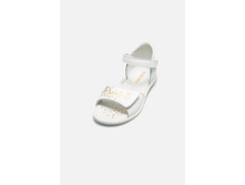 20228100019   Elsa   �����(���).jpg