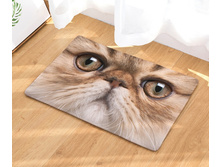 10,8 - 40�60��, 20,0 - 50�80��