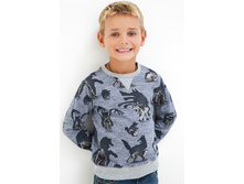 20120100148   Philin   �������.jpg