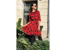 Plate-6799.jpg  1425���