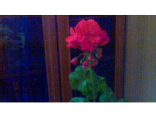 ���������� Monica Clauber (������)