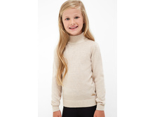 20220320029   Salmon   �������.jpg