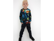 20120100165   Centavr   �������(������).jpg