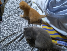 IMG 20181014 203923.jpg