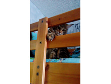 IMG 20180513 102956.jpg