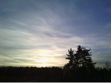 IMG 20181009 170209.jpg