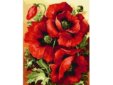 ������� �� ������� GX 7662 ����� ���� 40*50 ����: 395.00 RUB