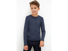 20110170051   Potato1   �����-�������.jpg