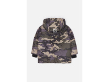 10110130018   Garsi S   �������(����).jpg