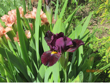 ���� ��������� ������.jpg